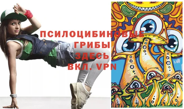 молекула духа Нефтекумск