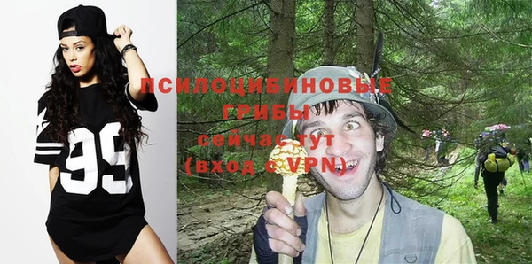 молекула духа Нефтекумск
