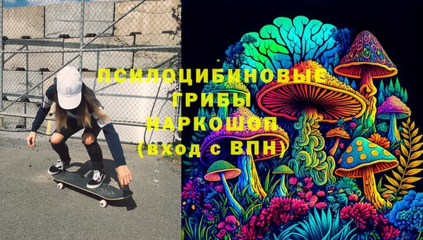 молекула духа Нефтекумск